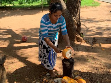 Einheimische Frau öffnet mit einer Machete Kokosnüsse auf der Ritigala Farm – Sri Lanka mit Kindern