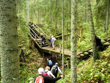 Eine Gruppe von Wanderern überquert eine Holzbrücke in einem dichten, grünen Wald voller Bäume und Pflanzen.