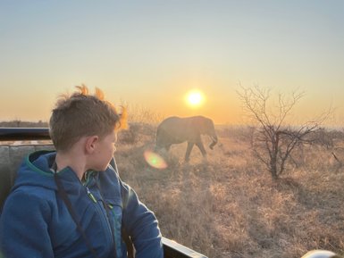 Kind sitzt im Safari-Jeep bei Sonnenuntergang und blickt auf einen Elefanten im Hintergrund – Südafrika Reise mit Kindern