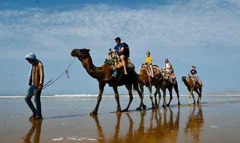 Kamelritt für die ganze Familie entlang des Atlantikstrands von Sidi Kaouki – Familienreise nach Marokko