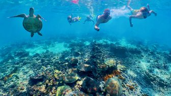 Familie schnorchelt unter Wasser bei den Daymaniyat Inseln – Oman mit Kindern
