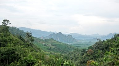 Weite Aussicht auf den Khao Sok Nationalpark - Thailand Familienreise