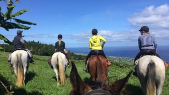 Vier Reiter auf Pferden genießen die Aussicht auf das Meer und die grüne Landschaft unter einem strahlend blauen Himmel.
