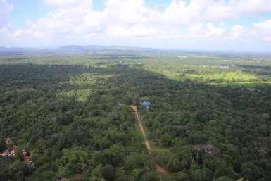 Vom Sigiriya-Felsen aus öffnet sich ein weiter Blick auf sattgrüne Wälder und Felder – Sri Lanka mit Kindern