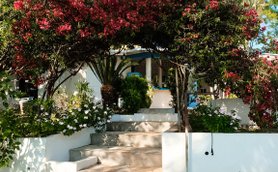 Ein einladender Eingang mit blühenden Bougainvillea und einer Treppe, die zu einem hellen, freundlichen Gebäude führt.