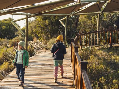 Kinder erkunden eine Holzbrücke in der Buffelsdrift Game Lodge – Südafrika mit Kindern