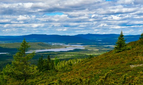 Ein atemberaubender Blick auf eine grüne Landschaft mit Wäldern und einem ruhigen See unter einem bewölkten Himmel.