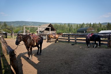 In einem weitläufigen Ranchbereich stehen mehrere gesattelte Pferde, während ein Reiter auf einem Pferd sitzt und die Umgebung betrachtet.