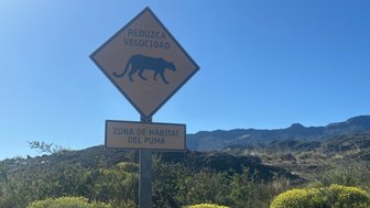 Ein Warnschild fordert Autofahrer auf, die Geschwindigkeit in einem Puma-Habitat zu reduzieren, um die Tiere zu schützen.