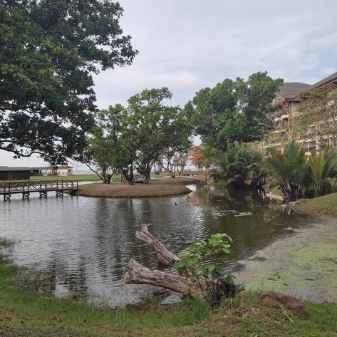 Blick auf den See im Nexus Resort & Spa Karambunai – Malaysia & Borneo mit Kindern