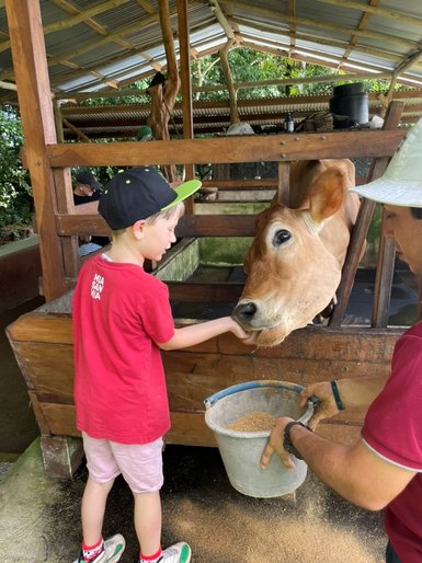 Kinder füttern die Tiere auf dem Bauernhof Don Juan – Costa Rica Familienreise