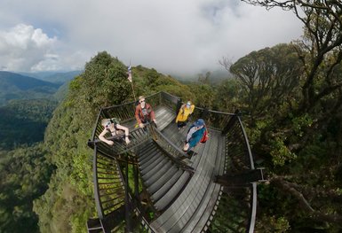 Blick von oben auf die Holztreppe im Mossy Forest der Cameron Highlands – Malaysia & Borneo Familienreise