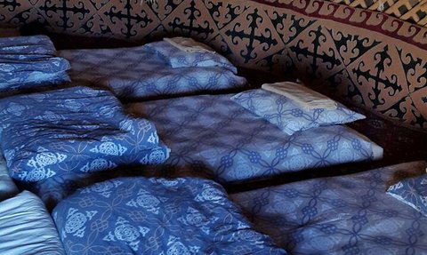 Ein traditioneller Raum mit mehreren blauen Matratzen und Kissen auf einem roten Teppichboden, umgeben von kunstvollen Wänden.