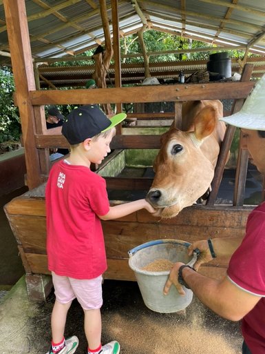 Kinder füttern die Tiere auf dem Bauernhof Don Juan – Costa Rica Familienreise