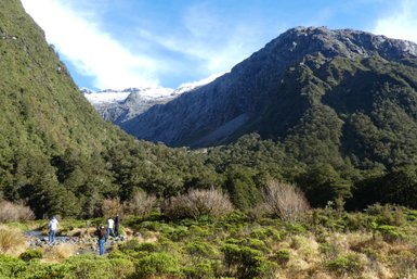 Eine Gruppe von Wanderern steht in einer malerischen Landschaft mit hohen Bergen und üppigem Grün im Fiordland Nationalpark.