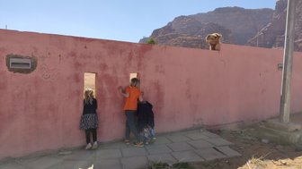 Drei Kinder schauen neugierig durch kleine Fenster in einer pinken Mauer, während ein Kamel darüber schaut.