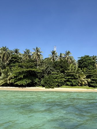 Eine kleine tropische Insel mit üppigem Grün und Palmen, umgeben von klarem, türkisfarbenem Wasser unter einem blauen Himmel.