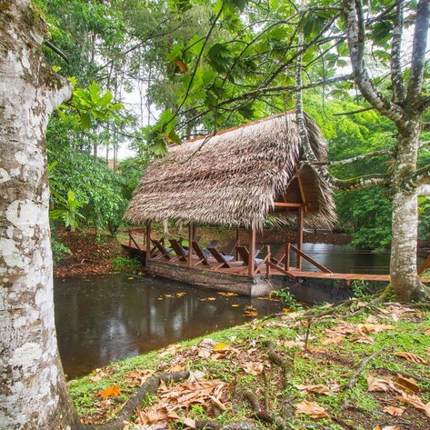 Ein traditionelles, strohgedecktes Haus steht am Ufer eines ruhigen Gewässers, umgeben von üppigem, grünem Laub.