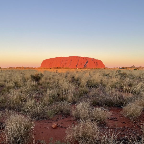 Ayers Rock strahlt in der Abenddämmerung, umgeben von sanften, grasbewachsenen Hügeln und dem klaren Himmel im Hintergrund.