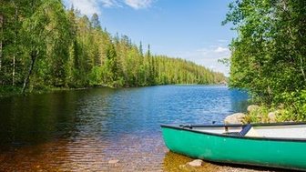 Ein grünes Kanu liegt am Ufer eines ruhigen Sees, umgeben von üppigem, grünem Wald und klarem blauen Himmel.