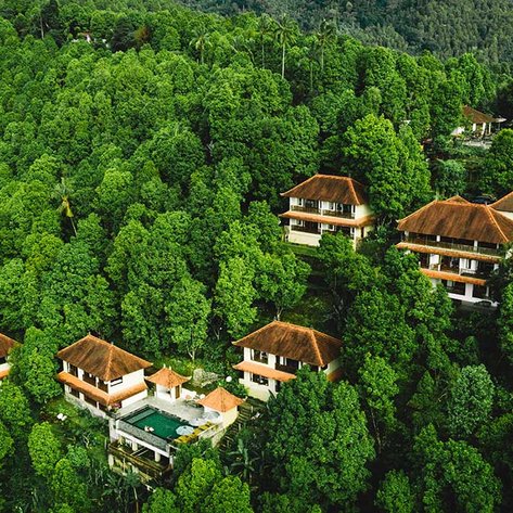 Eine Luftaufnahme zeigt mehrere Villen, umgeben von üppigem, grünem Wald, die Ruhe und Naturverbundenheit ausstrahlen.