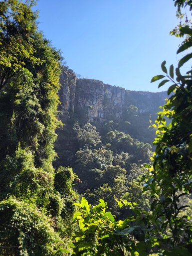 Weitläufiger Blick auf die grüne Berglandschaft und Naturkulisse entlang der Panorama Route – Südafrika Familienreise