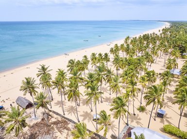 Ein atemberaubender Blick auf einen palmengesäumten Strand mit feinem Sand und klarem, blauem Wasser im Hintergrund.