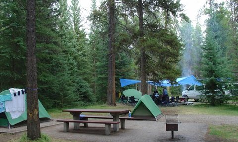Ein Campingplatz im Wald mit grünen Zelten, einem Picknicktisch und blauen Planen, umgeben von hohen Bäumen.