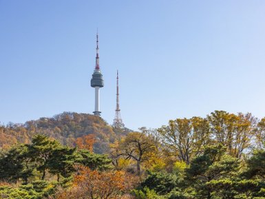 Der Namsan-Turm erhebt sich majestätisch über die bunten Herbstbäume unter einem klaren blauen Himmel.