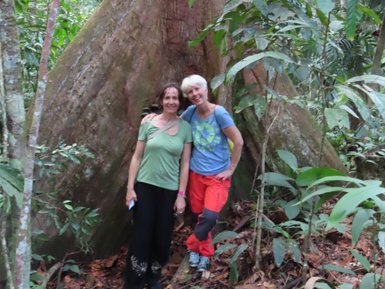 Frauen stehen vor einem Baum im Sepilok Rainforest Discovery Centre – Malaysia & Borneo Familienreise