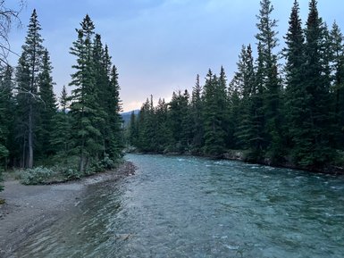 Ein ruhiger Fluss schlängelt sich durch einen dichten Wald, umgeben von hohen, grünen Tannen und sanften Hügeln im Hintergrund.