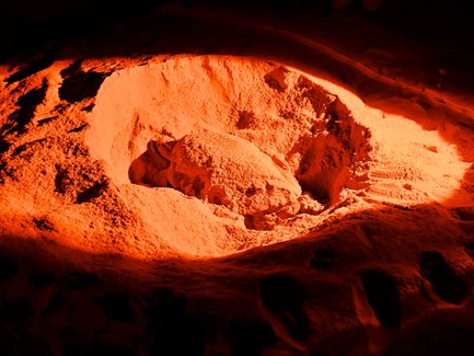 Schildkröte bei der Eiablage im Ras Al Jinz Turtle Reserve – Oman Familienreise