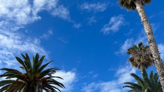 Hohe Palmen ragen gegen einen strahlend blauen Himmel mit sanften Wolken, die eine entspannte Atmosphäre schaffen.
