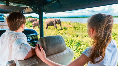 Eine Familie fährt im offenen Jeep durch den Udawalawe Nationalpark auf der Suche nach wilden Tieren – Sri Lanka mit Kindern