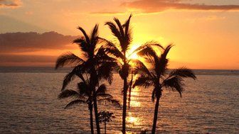 Ein atemberaubender Sonnenuntergang über dem Ozean, umgeben von Palmen, die sanft im Wind wiegen.