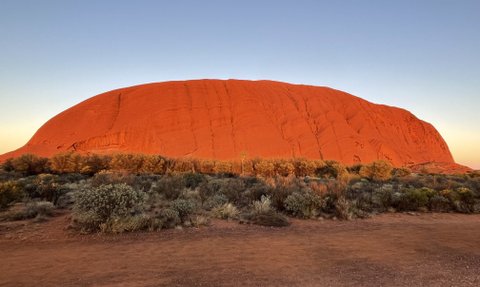 Der majestätische Ayers Rock leuchtet in warmen Rottönen während der Abenddämmerung, umgeben von üppiger, wilder Vegetation.