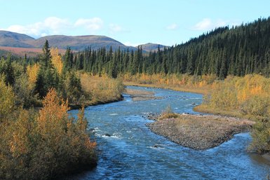 Ein klarer Fluss schlängelt sich durch eine herbstliche Landschaft mit bunten Bäumen und sanften Hügeln im Hintergrund.