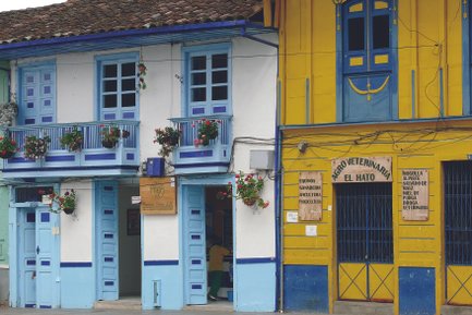 Zwei farbenfrohe Gebäude mit blauen und gelben Fassaden, geschmückt mit blühenden Pflanzen in Töpfen.