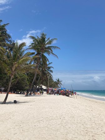 Ein sonniger Strand mit Palmen, wo Menschen entspannen und ein Segelboot in der Ferne auf dem Wasser fährt.