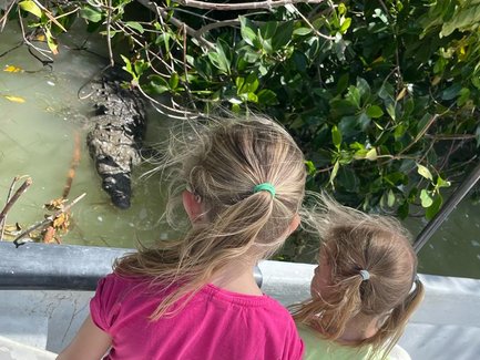 Kinder an Bord eines Bootes schauen auf ein Krokodil im Wasser des Rio Lagartos Naturreservats – Mexiko mit Kindern