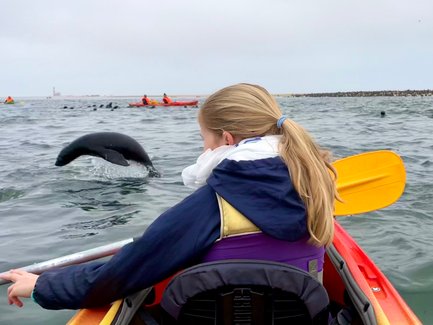Ein Mädchen im Kayak beobachtet eine Robbe - Namibia Urlaub mit Kindern