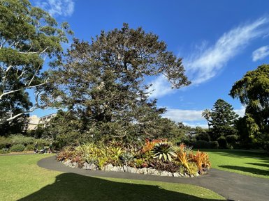 Ein majestätischer Baum mit üppigem Laub steht im Mittelpunkt des botanischen Gartens, umgeben von blühenden Pflanzen.