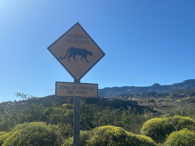 Ein Warnschild fordert Autofahrer auf, die Geschwindigkeit in einem Puma-Habitat zu reduzieren, um die Tiere zu schützen.