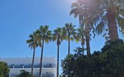 Hohe Palmen stehen vor einem modernen Hotel, während die Sonne strahlend am blauen Himmel scheint.