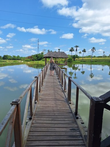 Eine Frau geht über eine Holzbrücke, die sich über einen ruhigen Teich erstreckt, umgeben von üppiger Vegetation und Palmen.