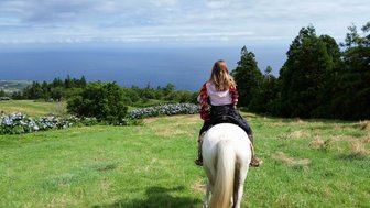 Eine Frau sitzt auf einem weißen Pferd und blickt auf das weite blaue Meer, umgeben von grünen Wiesen und blühenden Hortensien.
