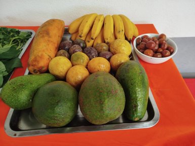 Eine bunte Auswahl an frischem Obst umfasst zahlreiche Avocados, Bananen und Zitrusfrüchte auf einem Tablett.
