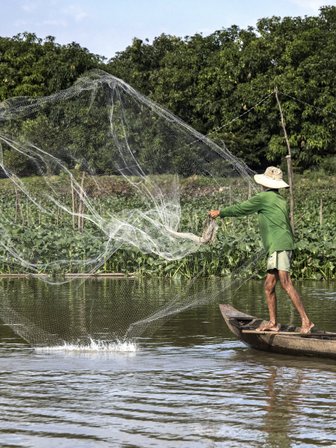 Ein Fischer wirft sein Netz in den ruhigen Gewässern des Mekong-Deltas, um Fische zu fangen, umgeben von üppigem Grün.