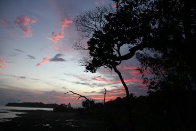 Ein stark silhouettierter Baum ragt gegen einen dramatischen Sonnenuntergang mit rosafarbenen und blauen Wolken.