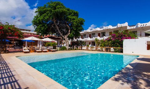 Ein einladender Pool umgeben von Liegen und einem großen Baum, ideal für entspannte Tage im Freien.